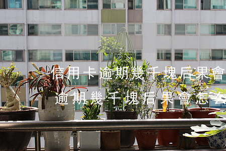 信用卡逾期幾千塊后果會怎么樣呢-信用卡逾期幾千塊后果會怎么樣呢知乎