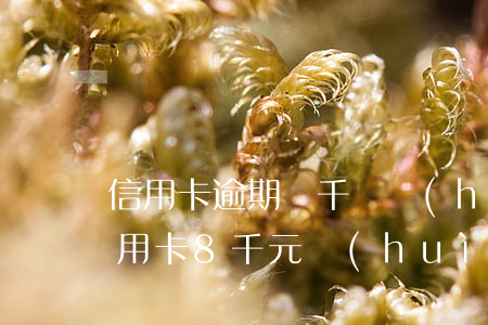 信用卡逾期幾千塊會(huì)有傳票(欠信用卡8千元,會(huì)收到法院傳票嗎)