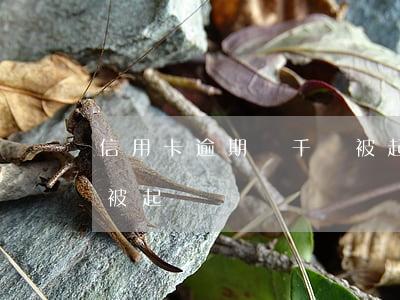 信用卡逾期幾千塊被起訴(信用卡逾期幾千塊被起訴)