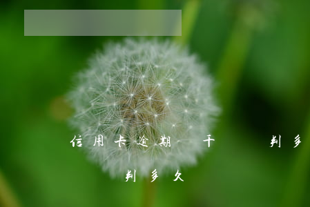 信用卡逾期幾千塊錢判多久(信用卡逾期幾千塊錢判多久)
