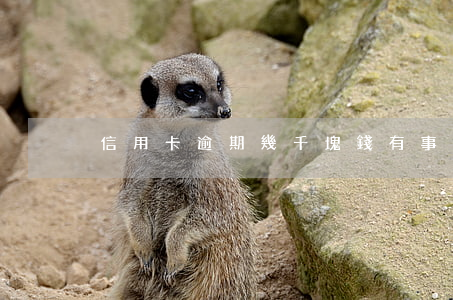 信用卡逾期幾千塊錢有事嗎