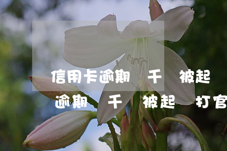 信用卡逾期幾千會被起訴打官司嗎-信用卡逾期幾千會被起訴打官司嗎知乎