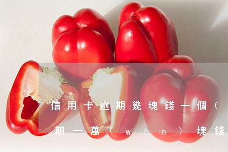 信用卡逾期幾塊錢一個(gè)月(信用卡逾期一萬(wàn)塊錢一個(gè)月利息多少錢)