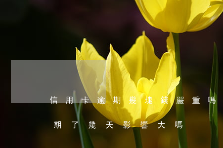 信用卡逾期幾塊錢嚴重嗎(信用卡幾十塊錢逾期了幾天影響大嗎)