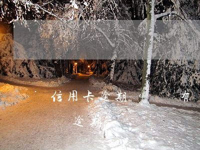 信用卡逾期幾塊錢有沒有事(欠信用卡幾千塊錢逾期)
