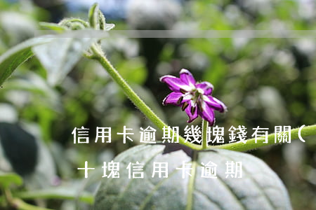 信用卡逾期幾塊錢有關(guān)系嗎(幾十塊信用卡逾期)