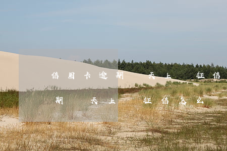 信用卡逾期幾天上傳征信怎么辦-信用卡逾期幾天上傳征信怎么辦啊