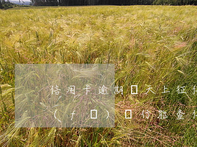 信用卡逾期幾天上征信報(bào)告廣發(fā)銀行能查（信用卡逾期幾天上征信報(bào)告廣發(fā)）