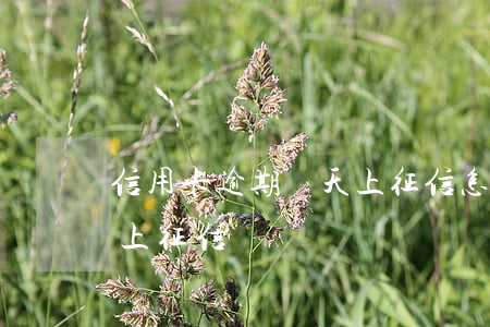 信用卡逾期幾天上征信怎么解決 逾期幾天會上征信