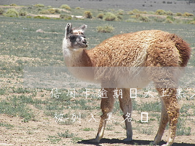 信用卡逾期幾天上黑名單(信用卡逾期多久會被列入黑名單)