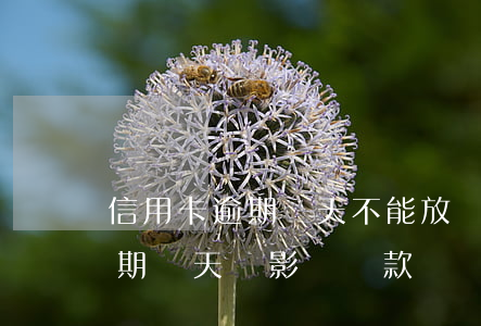 信用卡逾期幾天不能放貸款(忘記還信用卡逾期幾天會影響貸款嗎)