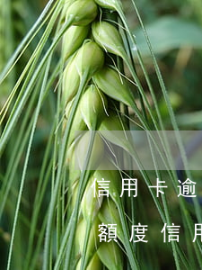 信用卡逾期幾天不能還最低(逾期幾天還最低額度信用卡還能用嗎)