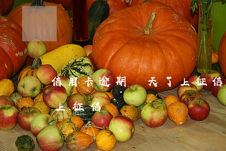 信用卡逾期幾天了上征信(信用卡逾期十幾天上征信嗎)