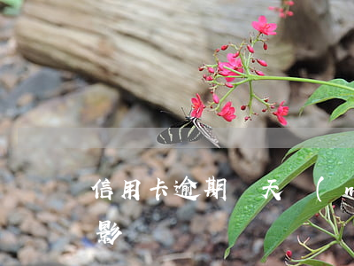 信用卡逾期幾天內(nèi)沒(méi)影響