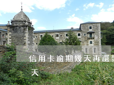 信用卡逾期幾天再還款(忘記還信用卡逾期兩天)