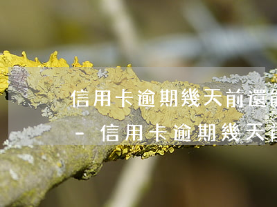 信用卡逾期幾天前還能刷出來(lái)嗎-信用卡逾期幾天前還能刷出來(lái)嗎怎么辦