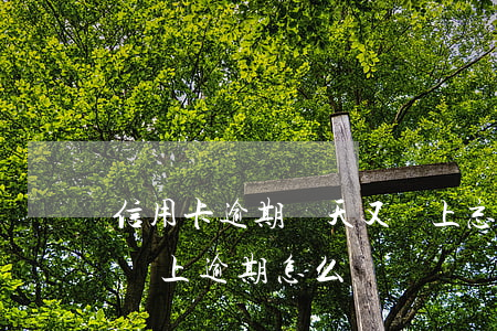 信用卡逾期幾天又還上(忘記還信用卡 一周后還上逾期怎么辦)