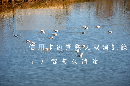 信用卡逾期幾天取消記錄(信用卡逾期紀(jì)錄多久消除)