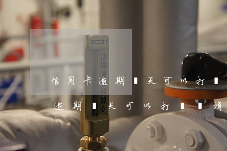 信用卡逾期幾天可以打電話消除嗎-信用卡逾期幾天可以打電話消除嗎