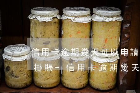 信用卡逾期幾天可以申請(qǐng)停息掛賬-信用卡逾期幾天可以申請(qǐng)停息掛賬嗎