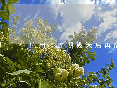 信用卡逾期幾天后再還