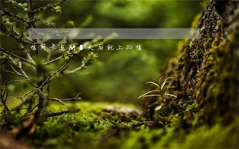 信用卡逾期幾天后就上征信