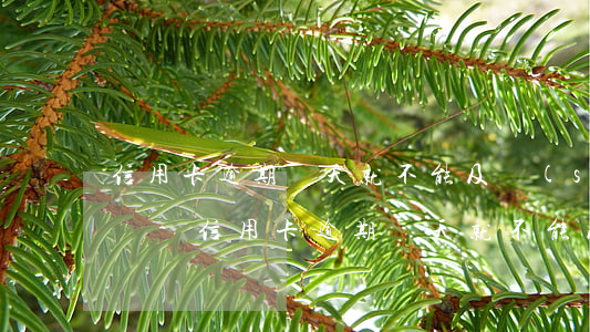 信用卡逾期幾天就不能及時(shí)還款嗎-信用卡逾期幾天就不能及時(shí)還款嗎為什么