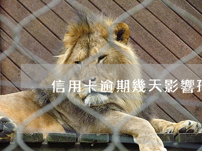 信用卡逾期幾天影響孩子上學(xué)