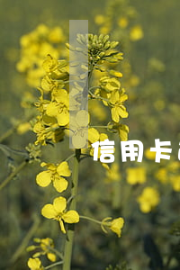 信用卡逾期幾天忘了還（信用卡逾期幾天忘了）