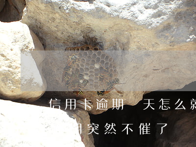 信用卡逾期幾天怎么就催款了 為什么信用卡逾期突然不催了