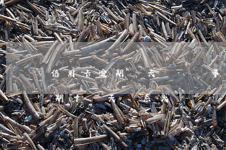信用卡逾期幾天應該沒事吧(不小心信用卡逾期十幾天關系大嗎)