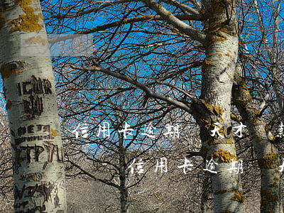 信用卡逾期幾天才還款額度能恢復(fù)嗎-信用卡逾期幾天才還款額度能恢復(fù)嗎知乎