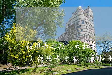 信用卡逾期幾天扣手續(xù)費(fèi)(信用卡逾期幾天扣手續(xù)費(fèi)嗎)
