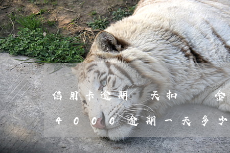 信用卡逾期幾天扣違約金上征信嗎 信用卡14000逾期一天多少違約金