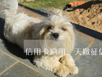 信用卡逾期幾天撤征信 征信逾期可以撤回嗎?