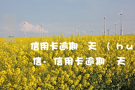 信用卡逾期幾天會(huì)怎么樣影響征信-信用卡逾期幾天會(huì)怎么樣影響征信嗎