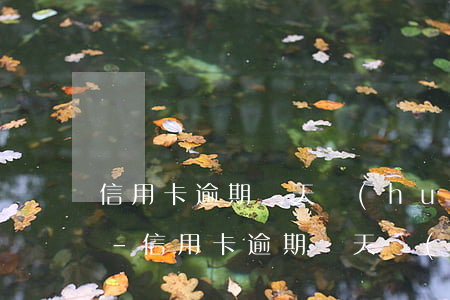 信用卡逾期幾天會(huì)打電話給本人-信用卡逾期幾天會(huì)打電話給本人嗎