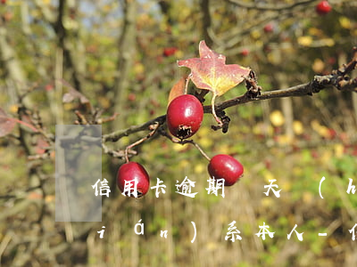 信用卡逾期幾天會(huì)打電話聯(lián)系本人-信用卡逾期幾天會(huì)打電話聯(lián)系本人嗎