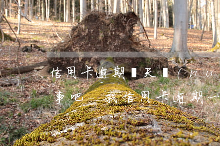 信用卡逾期幾天會(huì)沒(méi)事吧-我信用卡逾期一天可以嗎