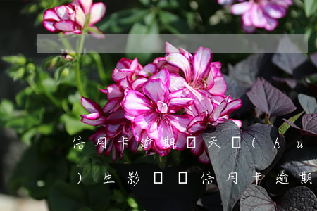 信用卡逾期幾天會(huì)產(chǎn)生影響嗎(信用卡 逾期多久)