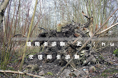 信用卡逾期幾天會(huì)被記錄嗎(有一次信用卡逾期記錄)