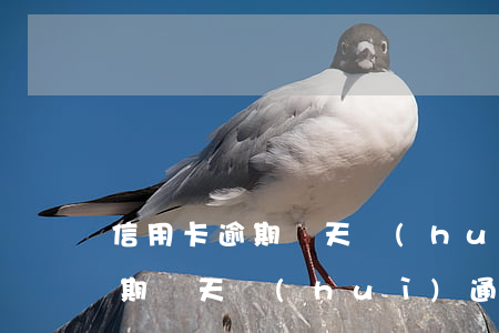 信用卡逾期幾天會(huì)通知(信用卡逾期幾天會(huì)通知你)