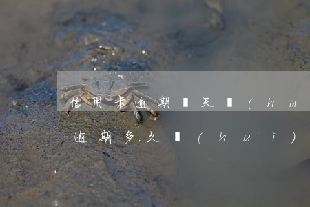 信用卡逾期幾天會(huì)黑名單(信用卡逾期多久會(huì)變成黑名單)