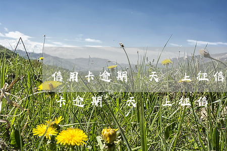 信用卡逾期幾天會上征信嗎影響入戶-信用卡逾期幾天會上征信嗎影響入戶嗎