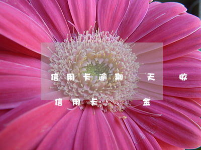 信用卡逾期幾天會收滯納金(2017年前的信用卡滯納金)