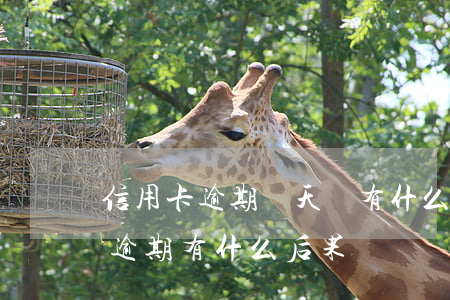 信用卡逾期幾天會有什么影響 銀行卡信用卡逾期有什么后果