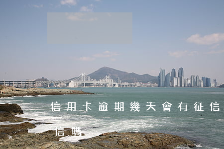 信用卡逾期幾天會有征信嗎(逾期幾天會上征信嗎)