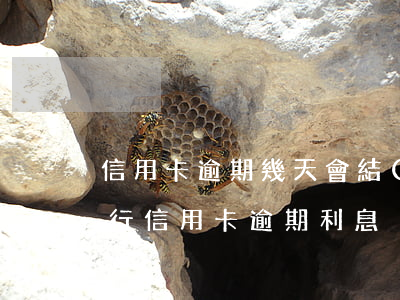 信用卡逾期幾天會結(jié)算利息(各銀行信用卡逾期利息)