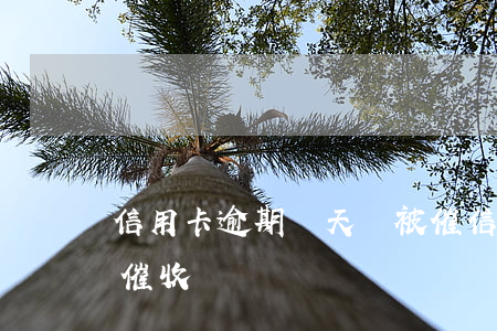 信用卡逾期幾天會被催 信用卡逾期幾天會被催收