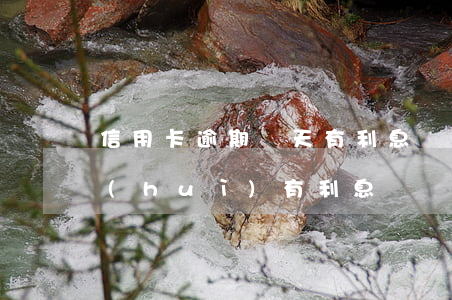 信用卡逾期幾天有利息嗎(信用卡逾期幾天會(huì)有利息嗎)